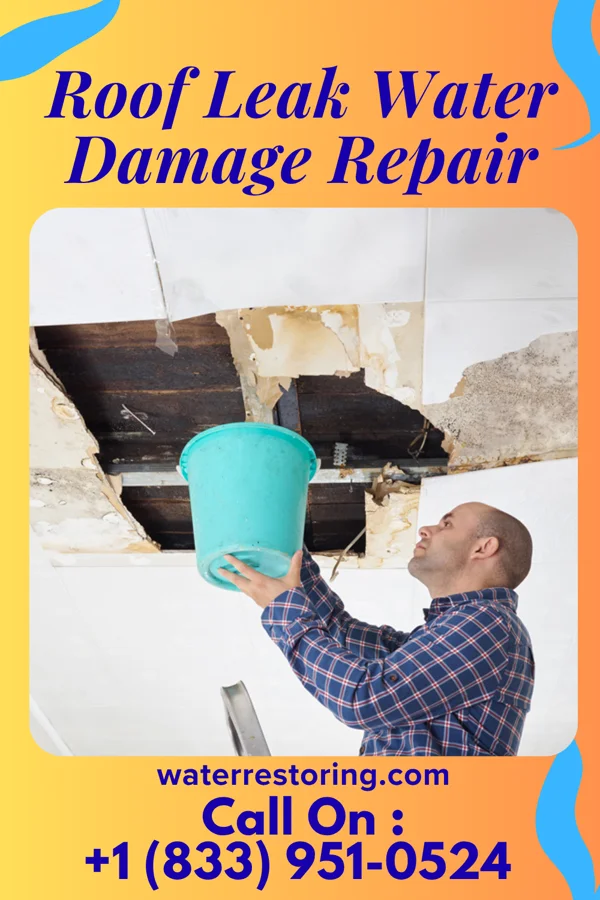 Roof Leak Water Damage Repair in Roby, TX